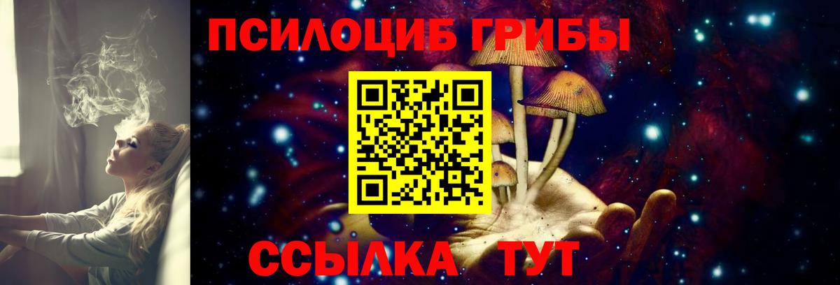 Лесозаводск  Галлюциногенные грибы мухоморы  Псилоцибиновые грибы Psilocybe  Вход с VPN 